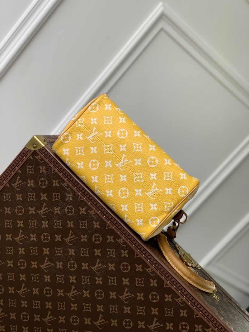 LV Travel Bags